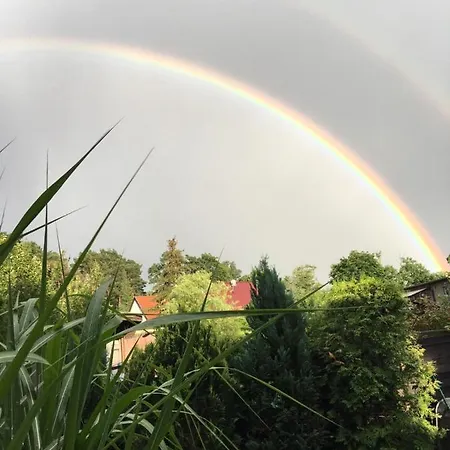 Ahornallee Dom wakacyjny Wendisch Rietz