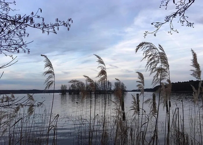 Feriehus Ahornallee Wendisch Rietz